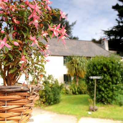 Bosence Farm outside