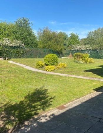 Birchwood - Kaleidoscope House field