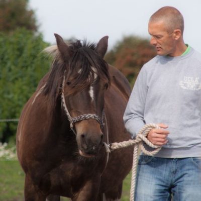 Paul Equine 400x400 1