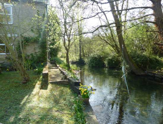 The Nelson Trust garden