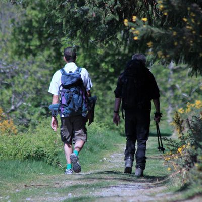 berwyn 400x400 1